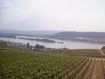 View of Rhine From Cable Car