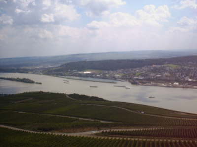 Rhine