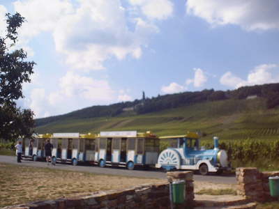 Train at Rudesheim Which Visits The Vines