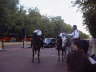 Mounted Policemen