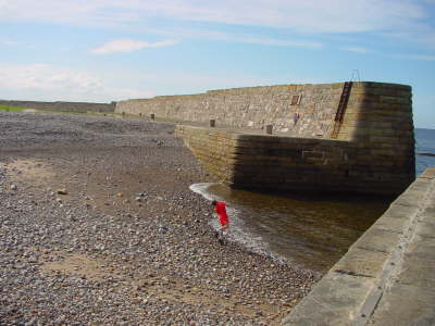 Small Harbour At Buckie