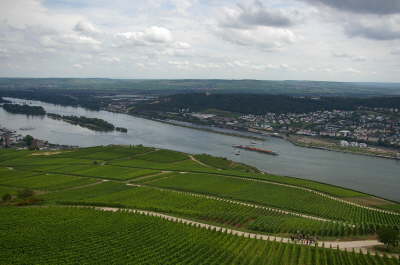 The Rhine