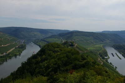 Zell is at Top of Loop in Moselle