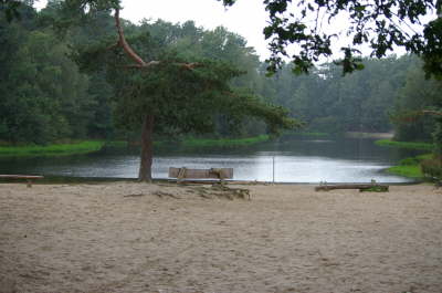 Lake in Woods